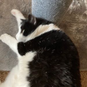 Meet your Posher, Mark